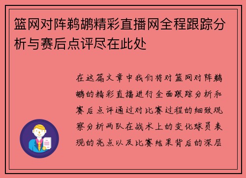 篮网对阵鹈鹕精彩直播网全程跟踪分析与赛后点评尽在此处